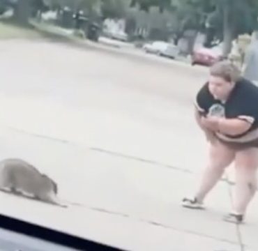 Messed With Nature &amp; Took A L: Chick Thought It Was Cool To Mess With This Raccoon!