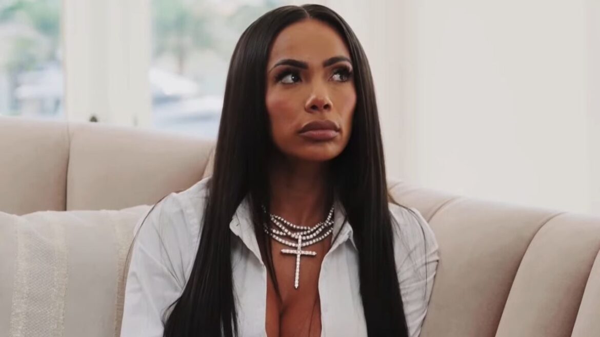 Erica Mena Reveals Shocking Details Disndatradio