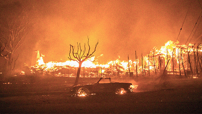 All The Free/Discounted Food & Lodging For LA Fire Victims