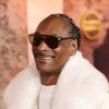 ‘Snoop Dogg’s New Year’s Eve’ Special Coming This Year