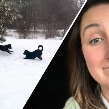 Why Did This Alabama Woman’s Dogs Start Fighting?