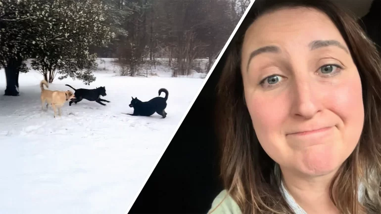 Why Did This Alabama Woman’s Dogs Start Fighting?
